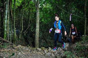 BIB: 
                            <button type="button" onclick="openModal(19439183)" class="btn btn-primary btn-sm float-right btn-popup" data-toggle="modal" data-target=".modal-high-quality">
                        <i class="fas fa-shopping-cart"></i> Add to Cart
                    </button>
                                            <button type="button" onclick="isThisMe(19439183, true)" class="btn btn-success btn-sm float-right btn-popup btn-isme hidden" data-toggle="tooltip" data-placement="bottom" title="นี่คือรูปของคุณใช่ไหม คลิกที่นี่เพื่อเอาเข้าอัลบั้ม">
                        <i class="fas fa-plus"></i> Add to album
                    </button>
                    <button type="button" onclick="isThisMe(19439183, false)" class="btn btn-warning btn-sm float-right btn-popup btn-isnotme hidden">
                        <i class="fas fa-ban"></i> Remove from album
                    </button>